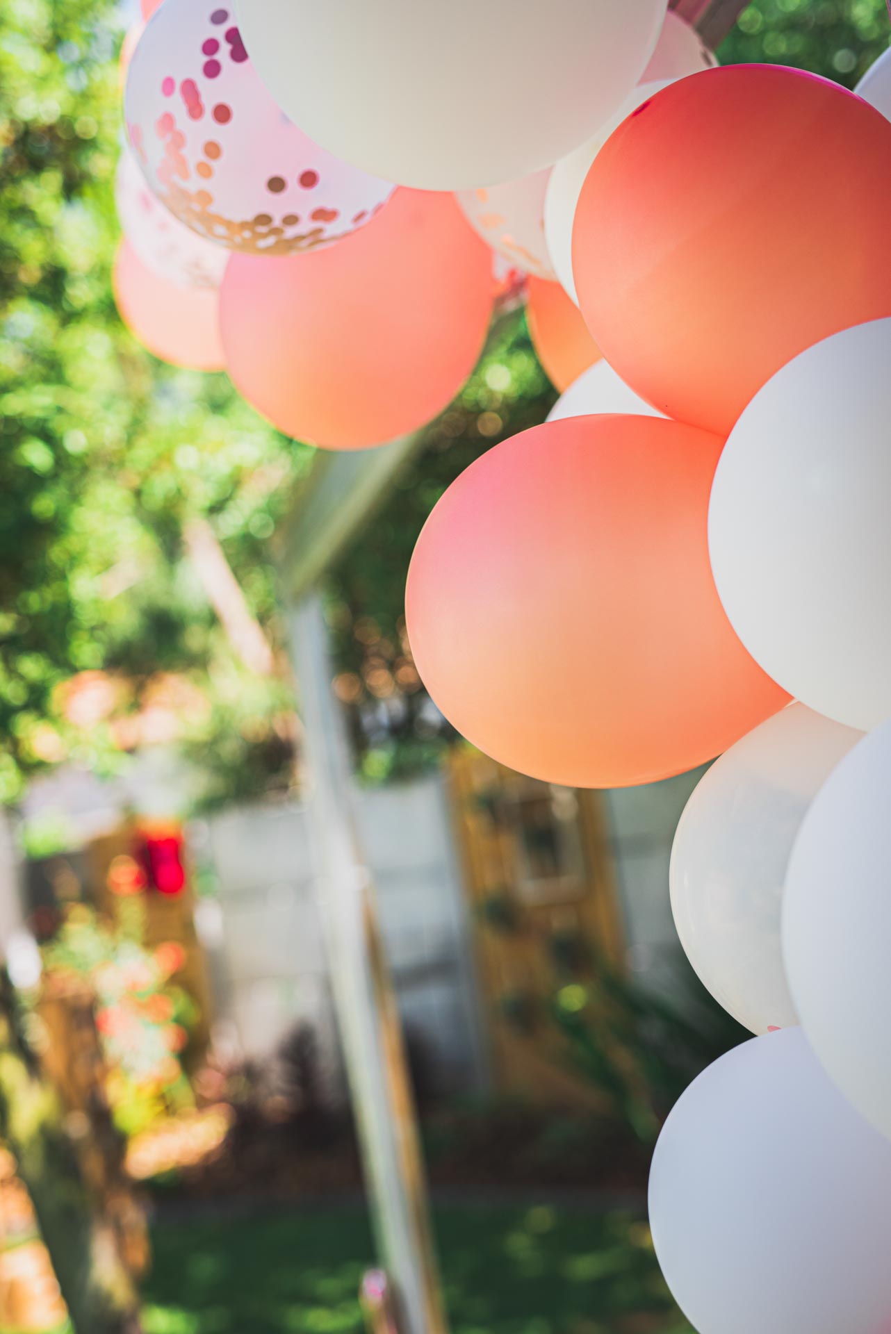 Photographe de mariage 293 à Rennes - Jesse Pollet Photographe de mariage 293 à Rennes - Jesse Pollet